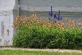 80 IMG_9890.JPG
